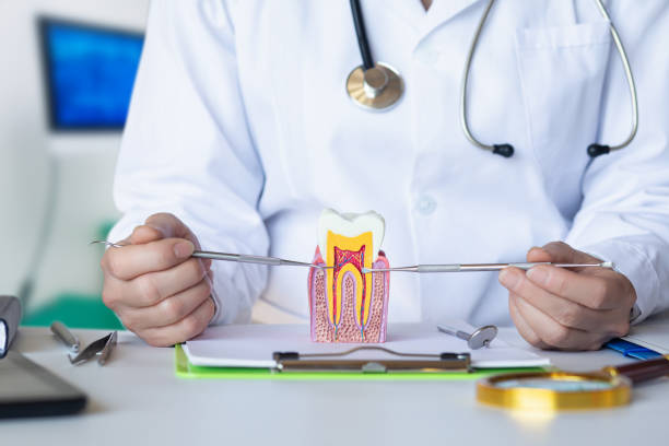 Best Emergency Care for Gum Disease in Franklin, NJ